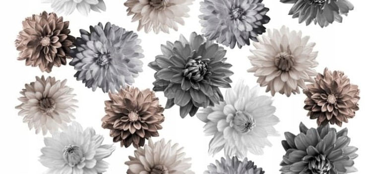 ce74ee194ba095a1f65bf7076d75