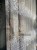 IMG_0142.jpeg