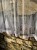 IMG_1239.jpeg