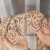 IMG_1593.jpeg