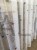 IMG_2716.jpeg