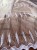 IMG_3039.jpeg