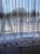 IMG_8229.jpeg