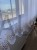 IMG_8209.jpeg