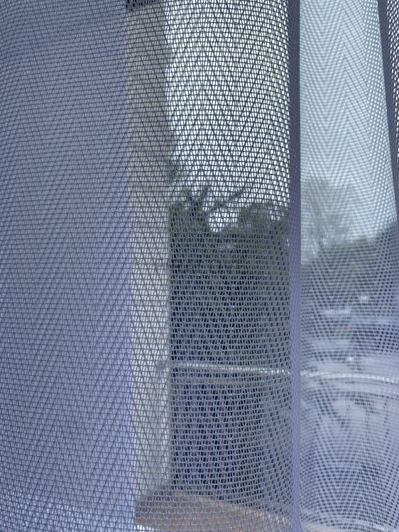IMG_8758.JPEG