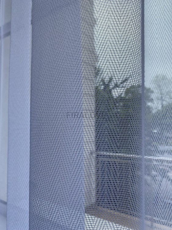 IMG_8756.JPEG