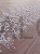 IMG_9317.JPEG