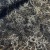 xl_16809.jpg