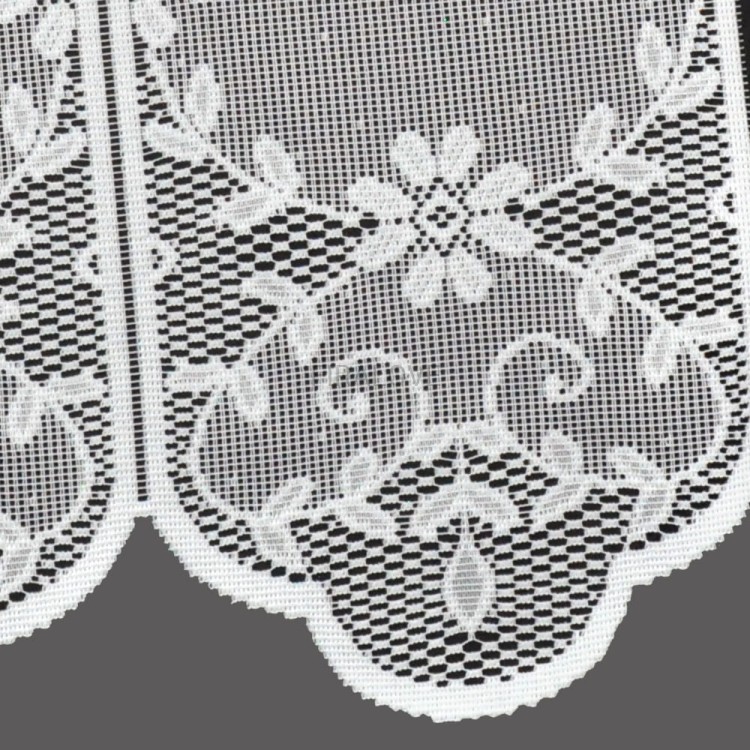 xl_18381.jpg