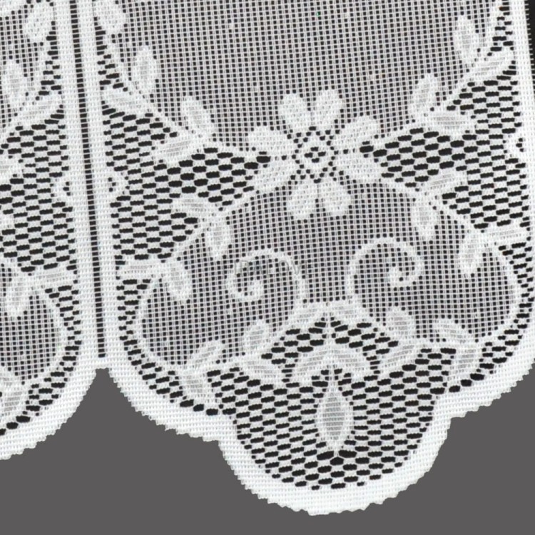 xl_18385.jpg