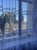 IMG_5181.JPEG
