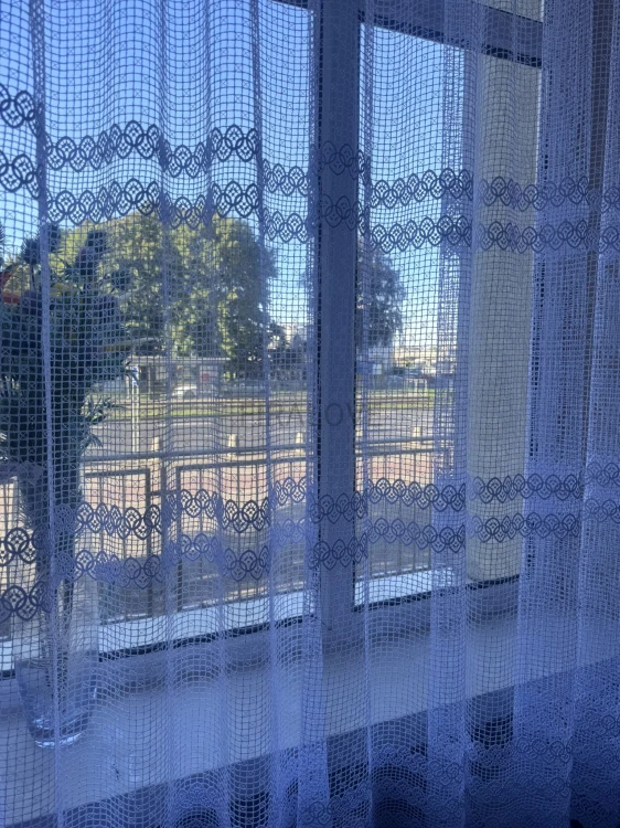 IMG_5181.JPEG
