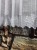 IMG_5522.JPEG