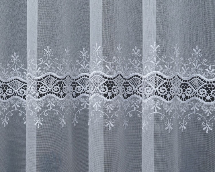 xl_29655.jpg